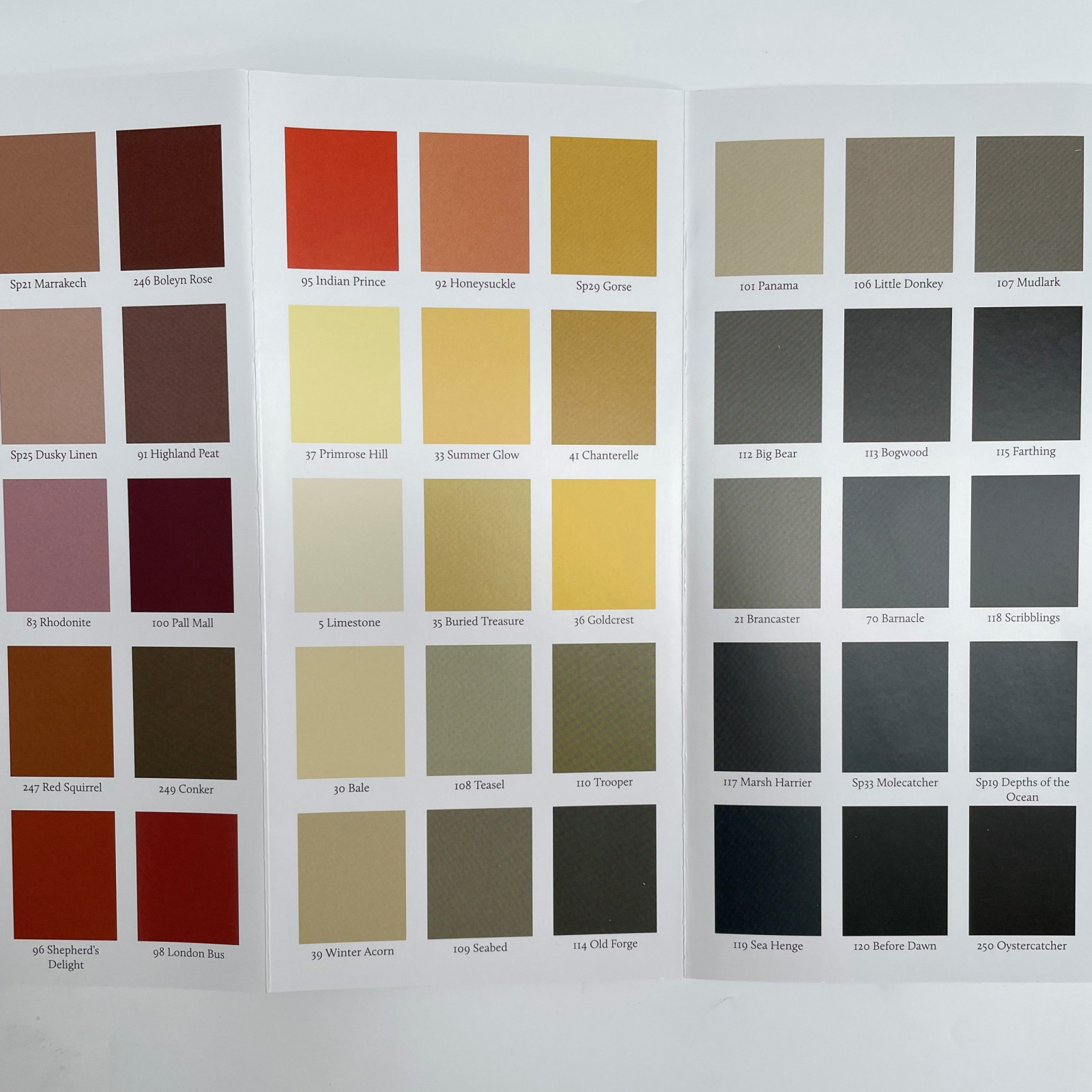 Color Card File Printed Colour Card