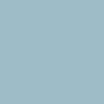 Skylight