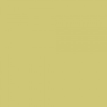 Kelp