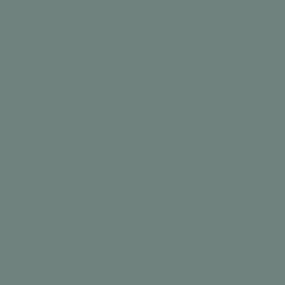 Marram Grass