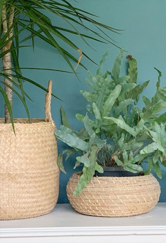 Blue Room Inspiration